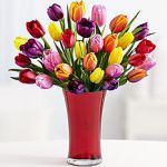 proflowersimage